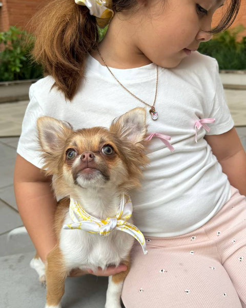 30554 DUO MASCOTA